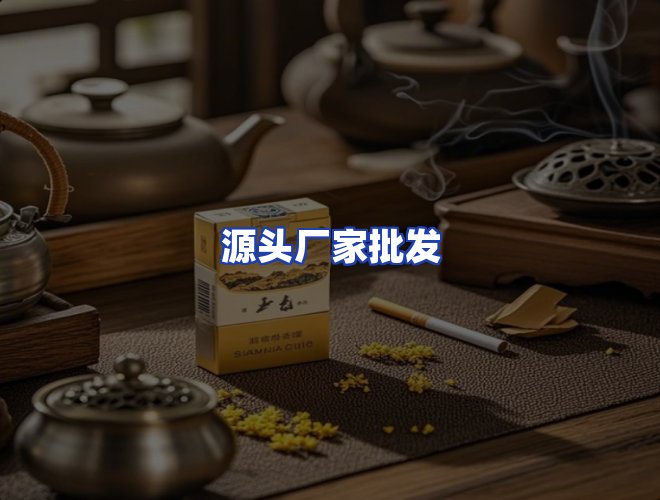专业团队